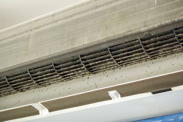 Best Commercial Air Duct Cleaning  in Swartz, LA